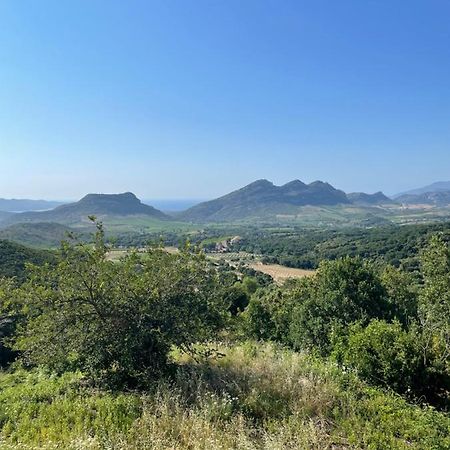 Casa Di Cajucan Poggio-d'Oletta Dış mekan fotoğraf
