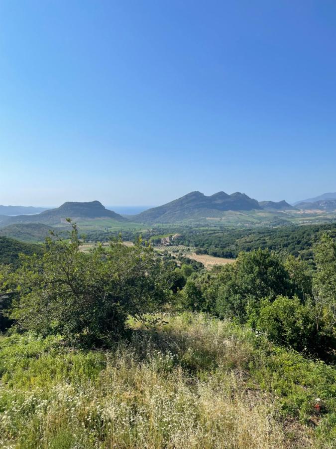 Casa Di Cajucan Poggio-d'Oletta Dış mekan fotoğraf
