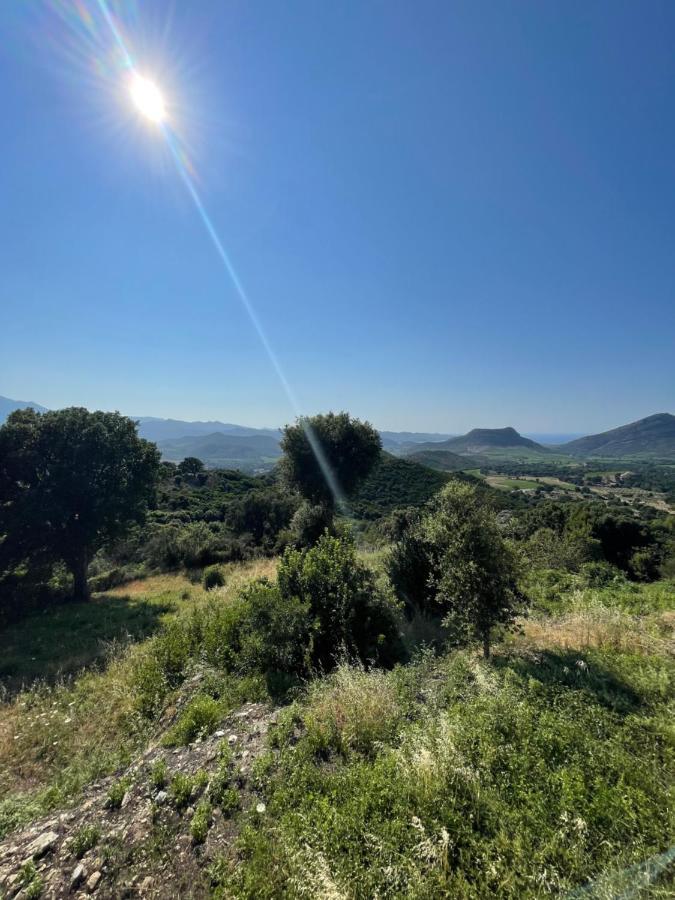 Casa Di Cajucan Poggio-d'Oletta Dış mekan fotoğraf
