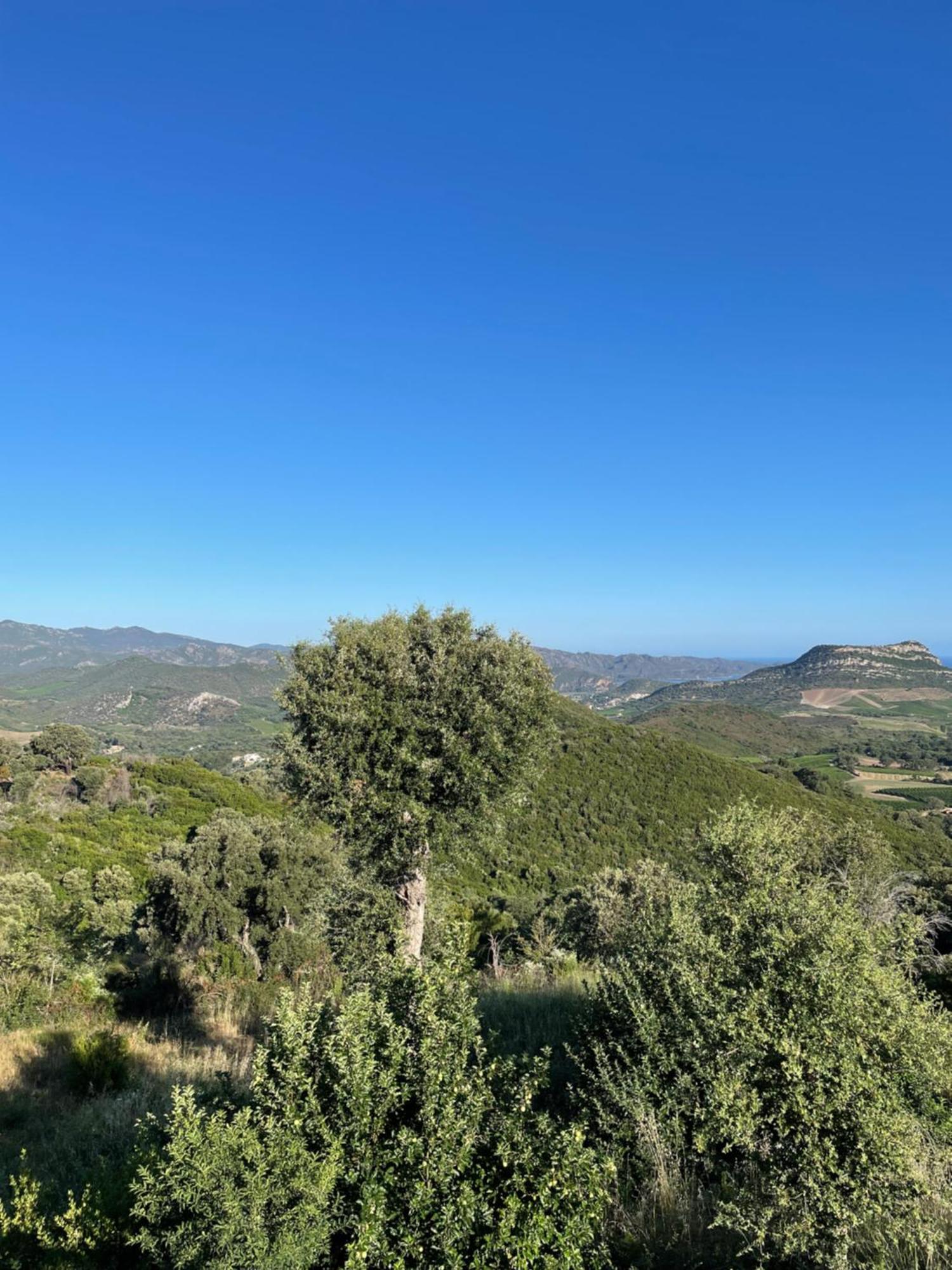 Casa Di Cajucan Poggio-d'Oletta Dış mekan fotoğraf