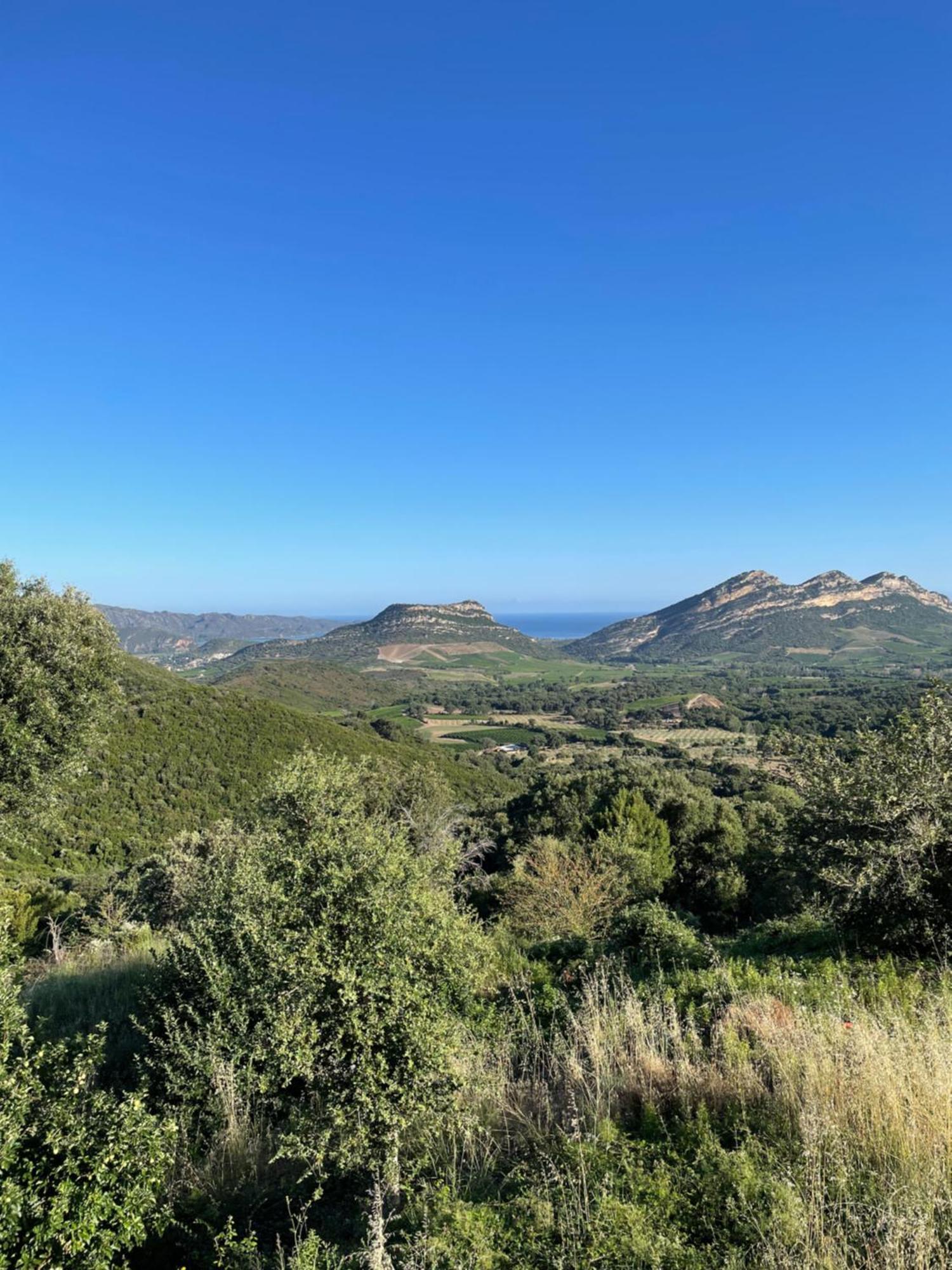 Casa Di Cajucan Poggio-d'Oletta Dış mekan fotoğraf