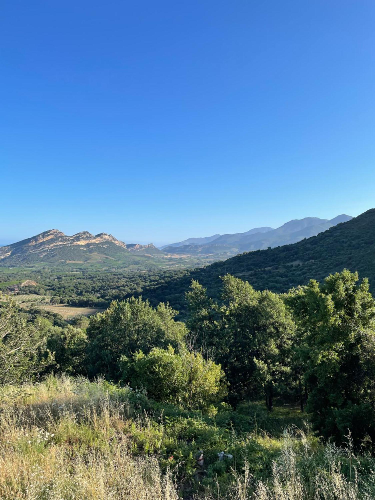 Casa Di Cajucan Poggio-d'Oletta Dış mekan fotoğraf