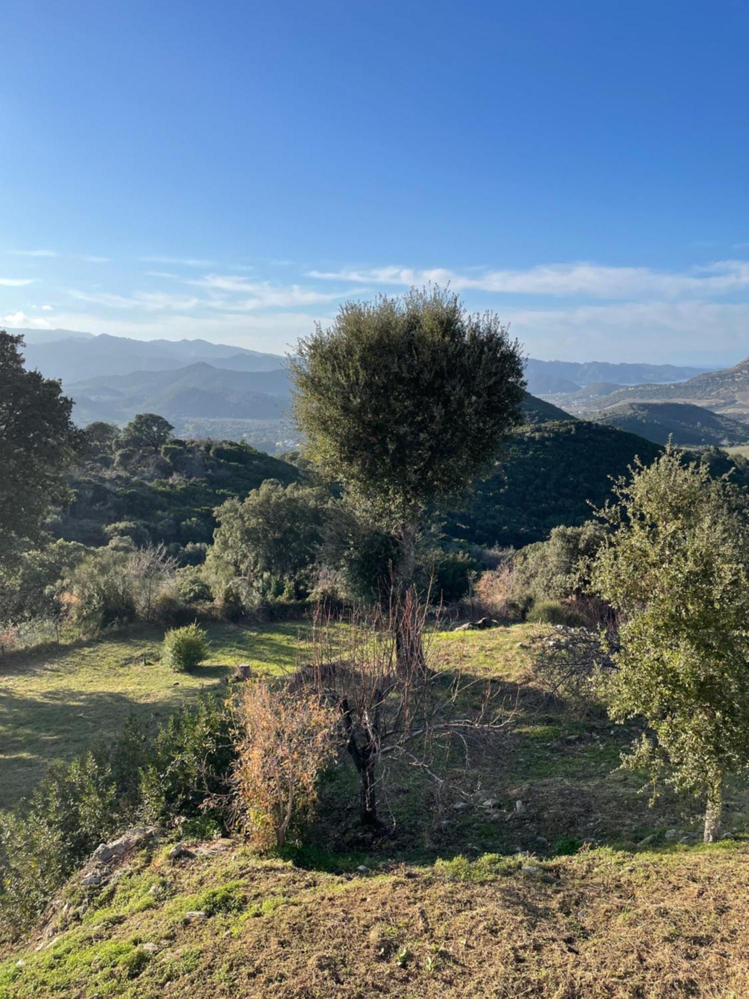 Casa Di Cajucan Poggio-d'Oletta Dış mekan fotoğraf