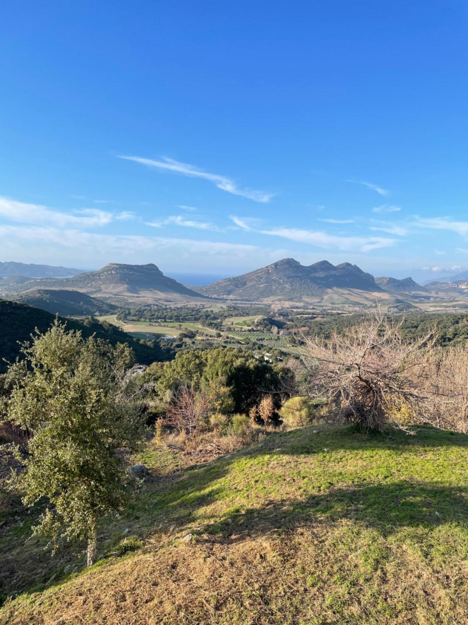 Casa Di Cajucan Poggio-d'Oletta Dış mekan fotoğraf